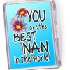 Fridge Magnet   Best Nan